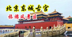 黄色大片操逼中国北京-东城古宫旅游风景区